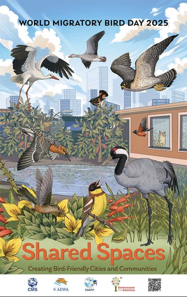 This #WorldMigratoryBirdDay let's resolve to create bird-friendly cities &amp; communities.

Bird-friendly practices should be integrated into both city and rural spaces &amp; plans. 

#Youth4WaterIndia #WMBD #WMBD2025 #NaturesClassroom #BeatTheHeat #AprilCOOL #LivingEarthCitizens