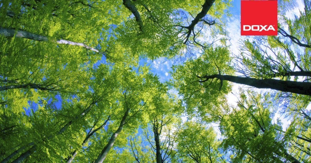 DOXAInsurance's tweet image. 🚀 L&amp;amp;H distributors lead specialty M&amp;amp;A growth! Let's connect on your M&amp;amp;A strategy! lnkd.in/guneF38i #MergersAndAcquisitions #InsuranceDistribution #LifeAndHealth #SpecialtyInsurance