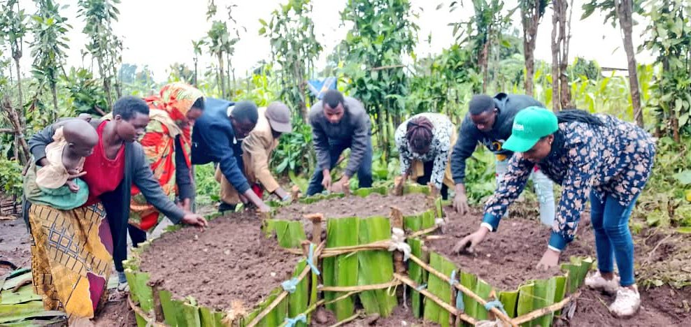 GicumbiN's tweet photo. Urubyiruko rwa @GicumbiDistrict rukomeje kugira uruhare mu kurwanya imiriremibi hubakwa imirima y'imboga aha ni #Rutaresector Ku wa 07/05/2025 https://t.co/6ZQ3tcdC8l