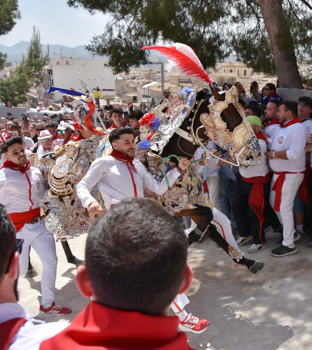 🔻🔻 Caballo en carrera!!! (foto JuanPe Garcia )🔻🔻
#NacimosParaEsto
#CaballosdelVino2025 
#CaballosdelVinoUNESCO
#2deMayo
#patrimonioinmaterialdelahumanidad
#CaravacadelaCruz
#FiestasdeCaravaca
#Minipua