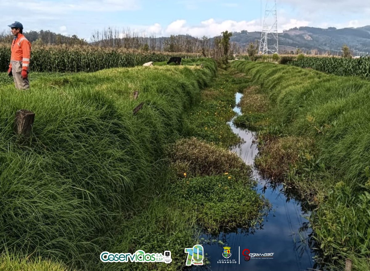 Durante mayo, continuamos con la limpieza mecánica de los canales Venecia, Norte y El Caimán  ubicado en el sector de Siátame.
El objetivo es mantener habilitado 10 km del  drenaje de aguas lluvias y estar preparados para la temporada invernal.

#CiudadDelSolPuebloDeAcero