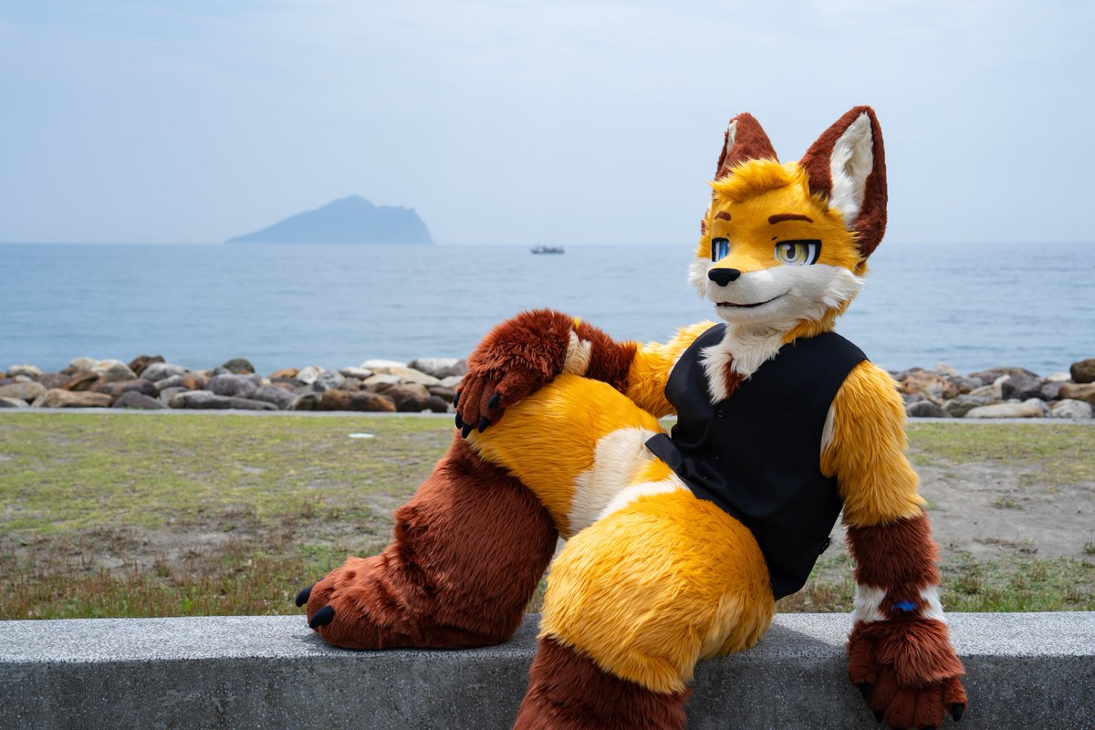 「唉唉你看，玫瑰頭的龜山島」
"Hey look,  it's Turtle Island but with no turtle head"

📷： <a href="/Init_Monsters/">小怪 🦊</a> 
#FursuitFriday
