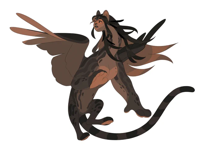 a few completed sphinxes from this round of commissions 