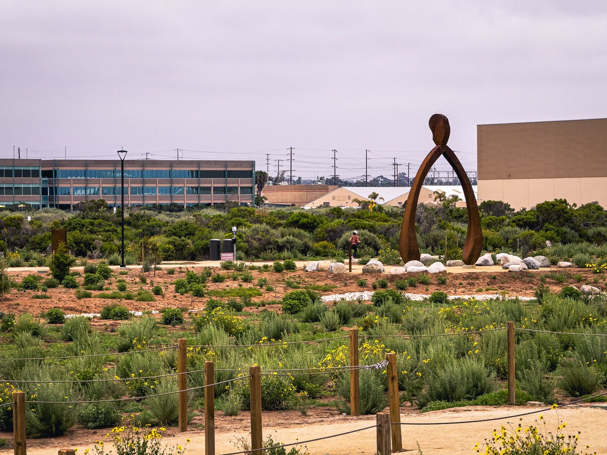 Good morning and Buenos Dias Chula Vista.