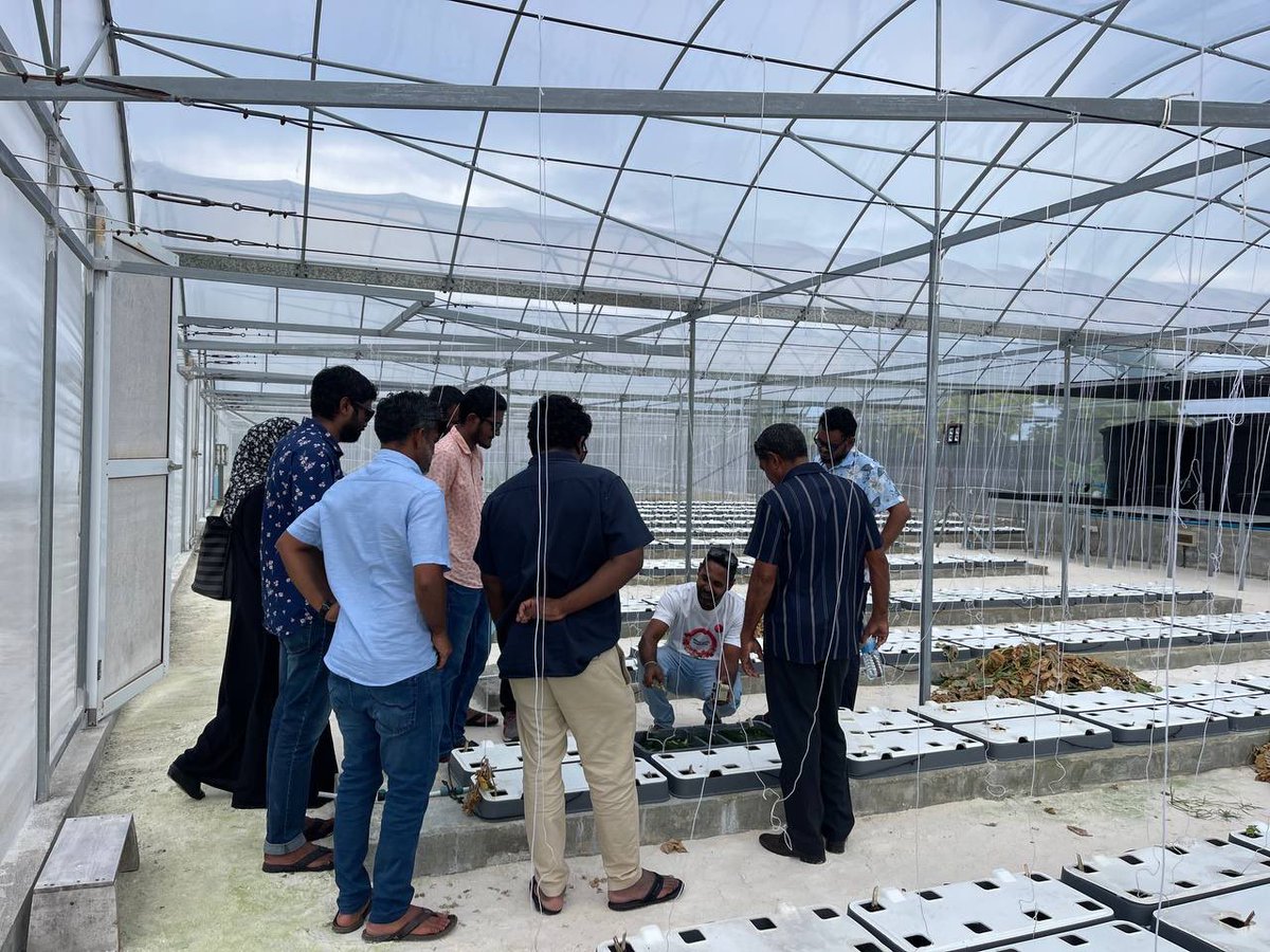 މާލެ އަތޮޅު ކައުންސިލް އިން އައްޑޫ މީދޫ އަށް ކުރެއްވި ޒިޔާރަތުގައަ އަޅުގަނޑުމެން ބޭނުންކުރައްވާ ޓެކްނޮލޮޖީ ފާމިން ގޮތްތަކާއަ އޮޕެން ފީލްޑް ފާމިން ކުރައްވާ ގޮތް ބައްލަވާލެއްވި.  އަދި އަޅުގަނޑުމެން ގުޅިގެން މިކަން ކުރެވޭނެ ގޮތްތަކާއި ބެހޭގޮތުން މަޝްވަރާކުރެވުނު.