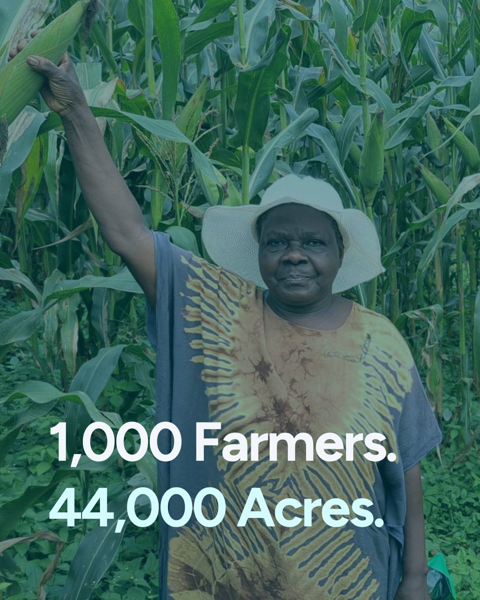 Boomitra tweet media