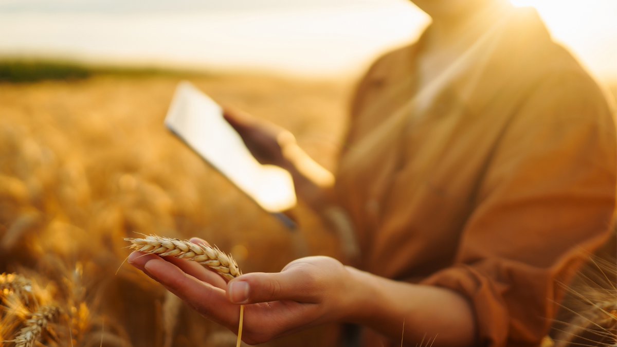 🌱 New blog! WHEATBIOME explores #microbiome #innovation, EU regulatory challenges &amp; sustainability in food systems. Thanks to our partner UVMB for their input! 👉 wheatbiome-project.eu/bridging-the-p… 

#WHEATBIOME #HorizonEurope