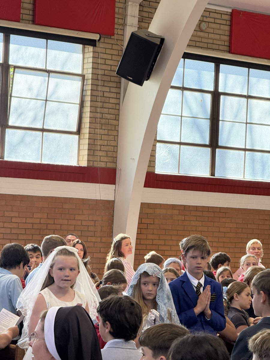 What's day!  New Pope ✅ Crowning Mass ✅ $300 feeders 🚀