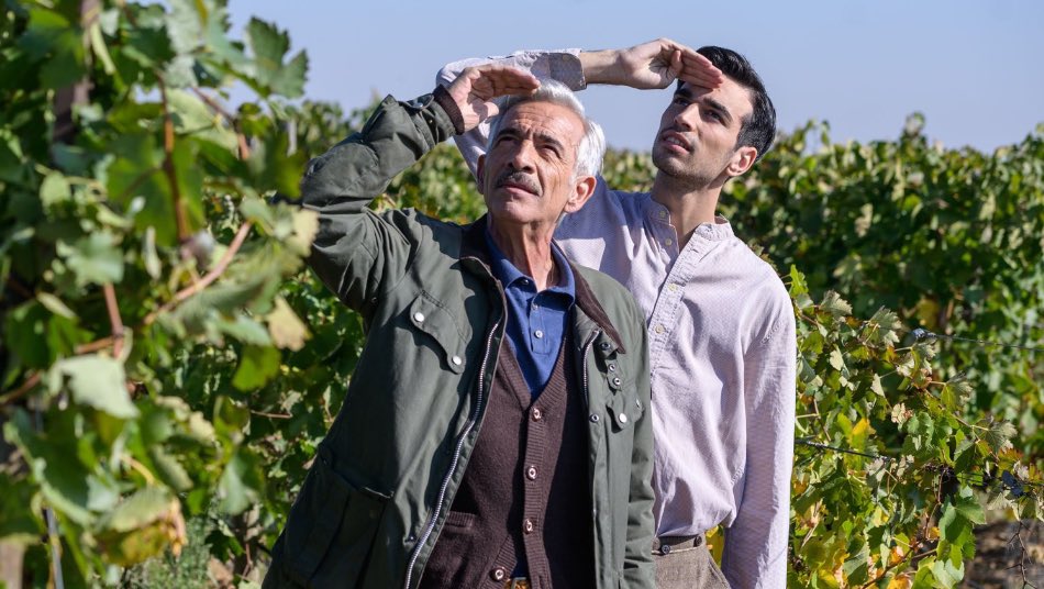 Habemus Papam 💫 ¿Sabéis que uno de nuestros monaguillos resultó ser el propio Antonio Alcántara? Daniel Arias, que dio vida al patriarca en su juventud, participó en uno de los capítulos como monaguillo de San Genaro ❤️

#CuéntameDeNuevo