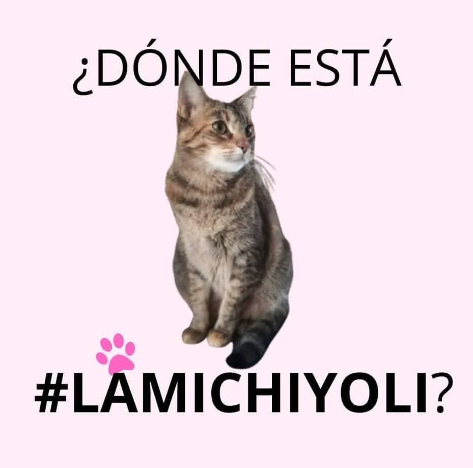LuvehK's tweet photo. @GEB_uniendo_mex https://t.co/OebPQzNCJW