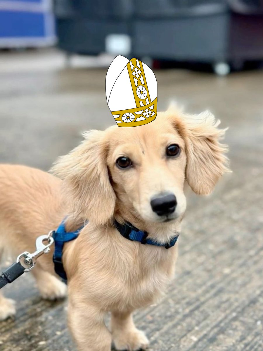 We have a new pope <a href="/Charles_Leclerc/">Charles Leclerc</a> #popeleo #pope