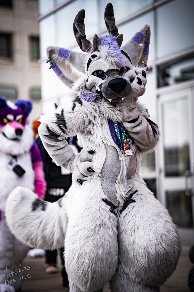 Think you can handle the storm? ⚡

📸 @linglingfennec.bsky.social
🐺 <a href="/BoltnySpreads/">⚡️ Puppi XCX ⚡️FWA</a>