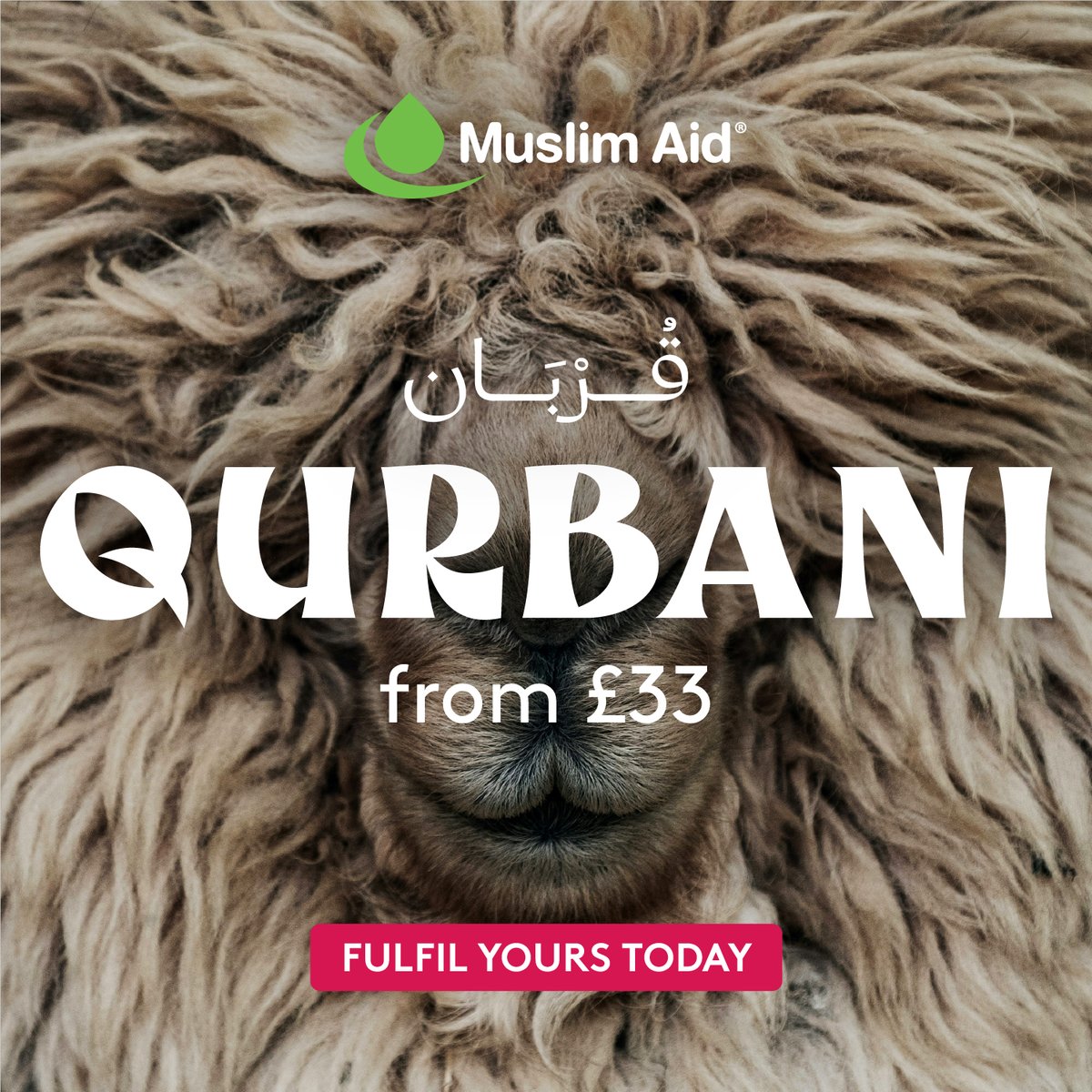 Muslim Aid UK (@muslim_aid) on Twitter photo Prophet Ibrahim's (AS) unwavering obedience became a legacy we honour through Qurbani.
Today, as we remember that sacrifice, families of deprived regions face hunger and loss.
This Dhul Hijjah, let your Qurbani reach those who have nothing.
Book now - muslimaid.org/qurbani Prophet Ibrahim's (AS) unwavering obedience became a legacy we honour through Qurbani.
Today, as we remember that sacrifice, families of deprived regions face hunger and loss.
This Dhul Hijjah, let your Qurbani reach those who have nothing.
Book now - muslimaid.org/qurbani