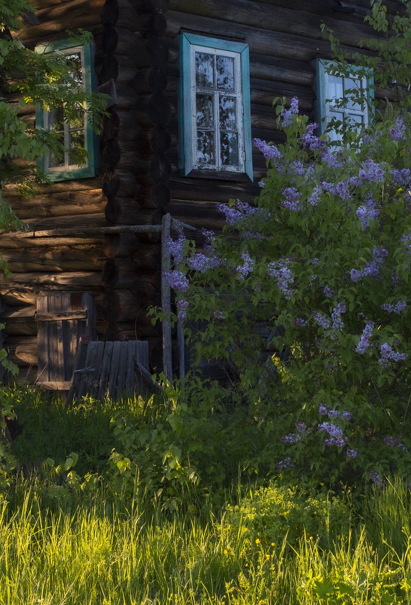 Василиса tweet media