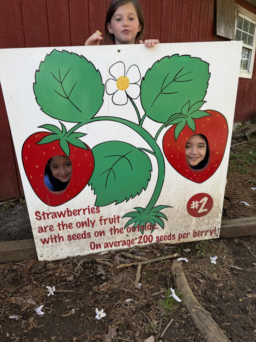 MissElizabethB tweet media