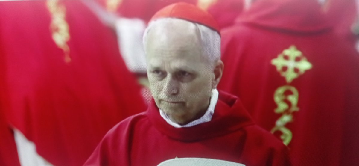 Ok, it's Cardinal Robert Prevost. That's not so bad, I can still be in the background!