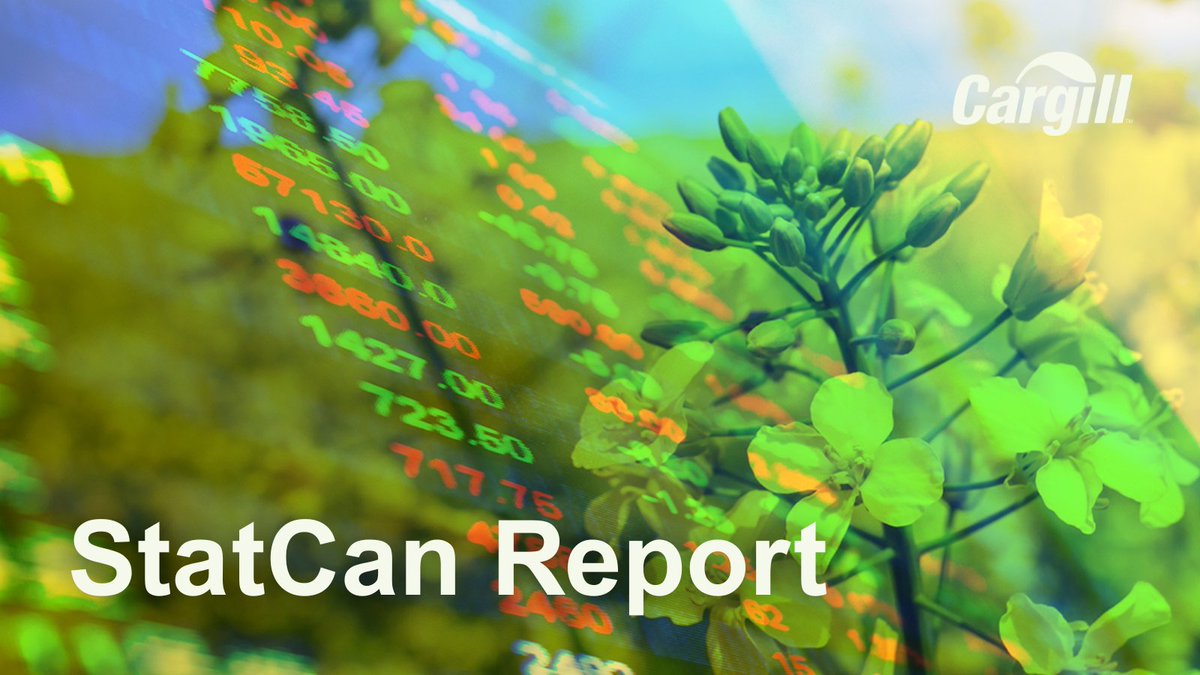 StatCan reports -39% tighter Mar 31 canola stocks. Market was expecting stocks to be even tighter so canola reversed early gains. Other commodities in line with expectations. Wheat stocks tighter, -1.2%.  Pea stocks +41%. Lentils +30%. Oats -13% &amp; barley flat compared to last yr.