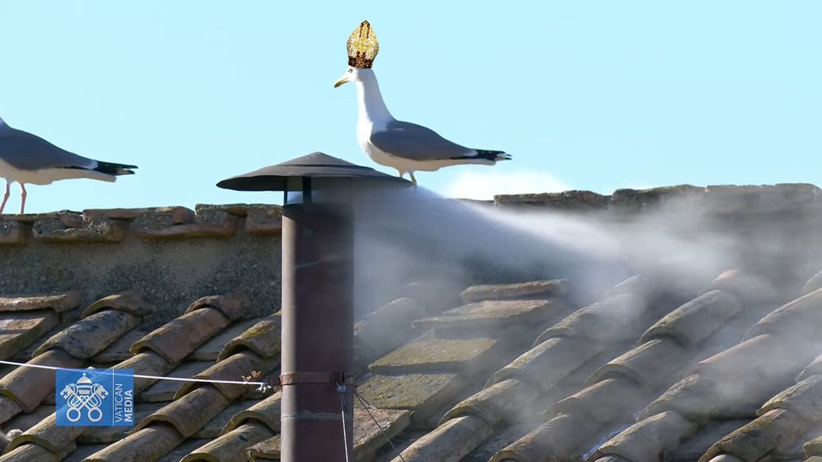 danny (@dannyonsocial) on Twitter photo 