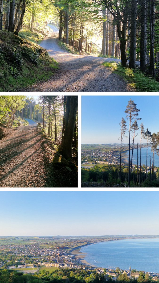 Brenda Horgan (@bhorganshsct) on Twitter photo <a href="/SouthernHSCT/">Southern Trust</a> #mileinmay beautiful walk tonight, plenty of bird song and bluebells and a sun about to set. I hope day 2 of Encompass goes well <a href="/MaireadMcgahan/">Mairead McGahan</a> <a href="/Anthony64261623/">Anthony Martin💙</a> <a href="/DeborahHanlon4/">Deborah Hanlon</a> <a href="/lizzytanner/">Lizzy Tanner</a> <a href="/S_A_Falls/">Sean Falls</a> <a href="/Emckay19/">Emckay</a> <a href="/JaneMcC37306018/">Jane McCullough</a> <a href="/davidwylie79/">David Wylie</a> <a href="/SouthernHSCT/">Southern Trust</a> #mileinmay beautiful walk tonight, plenty of bird song and bluebells and a sun about to set. I hope day 2 of Encompass goes well <a href="/MaireadMcgahan/">Mairead McGahan</a> <a href="/Anthony64261623/">Anthony Martin💙</a> <a href="/DeborahHanlon4/">Deborah Hanlon</a> <a href="/lizzytanner/">Lizzy Tanner</a> <a href="/S_A_Falls/">Sean Falls</a> <a href="/Emckay19/">Emckay</a> <a href="/JaneMcC37306018/">Jane McCullough</a> <a href="/davidwylie79/">David Wylie</a>
