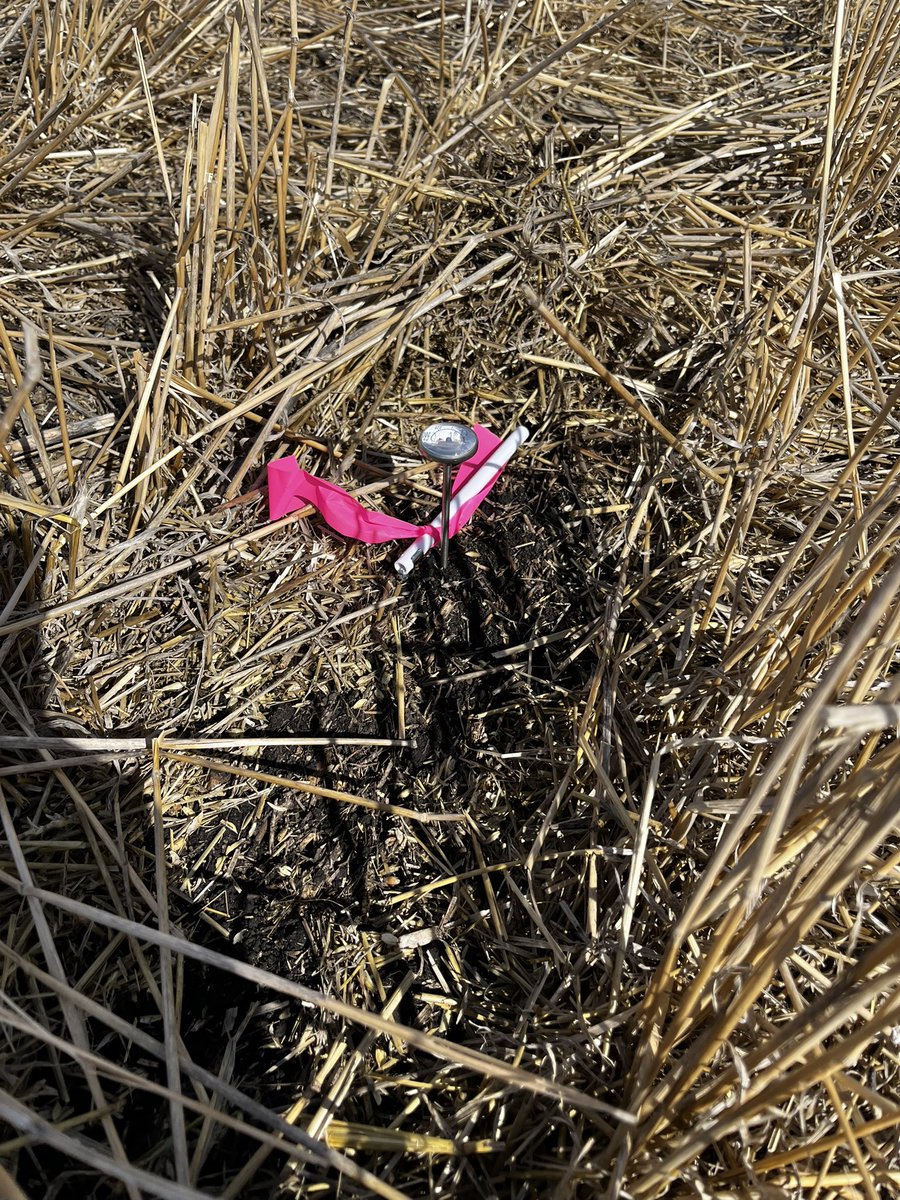 Raeanne Denomie PAg, BSc, CCA tweet media