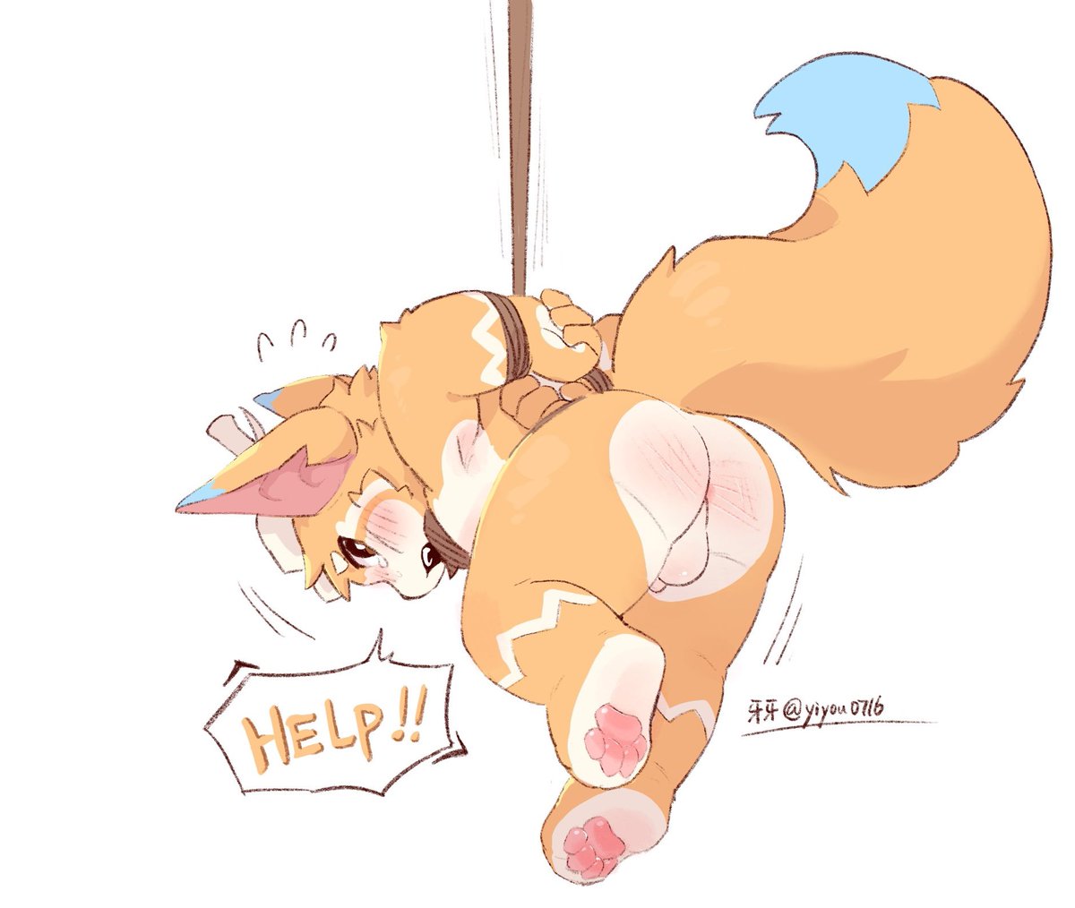 好久没画纳尔咯
摸了