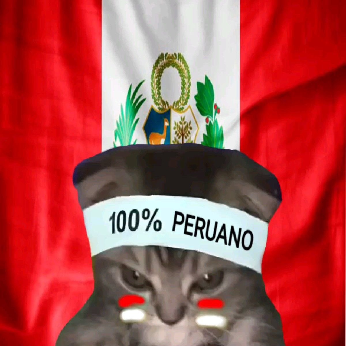 EL PAPA LEON XIV LE ACABA DE MANDAR SALUDOS A CHICLAYO, VIVA EL NORTE DE MI PAÍS CARAJO
