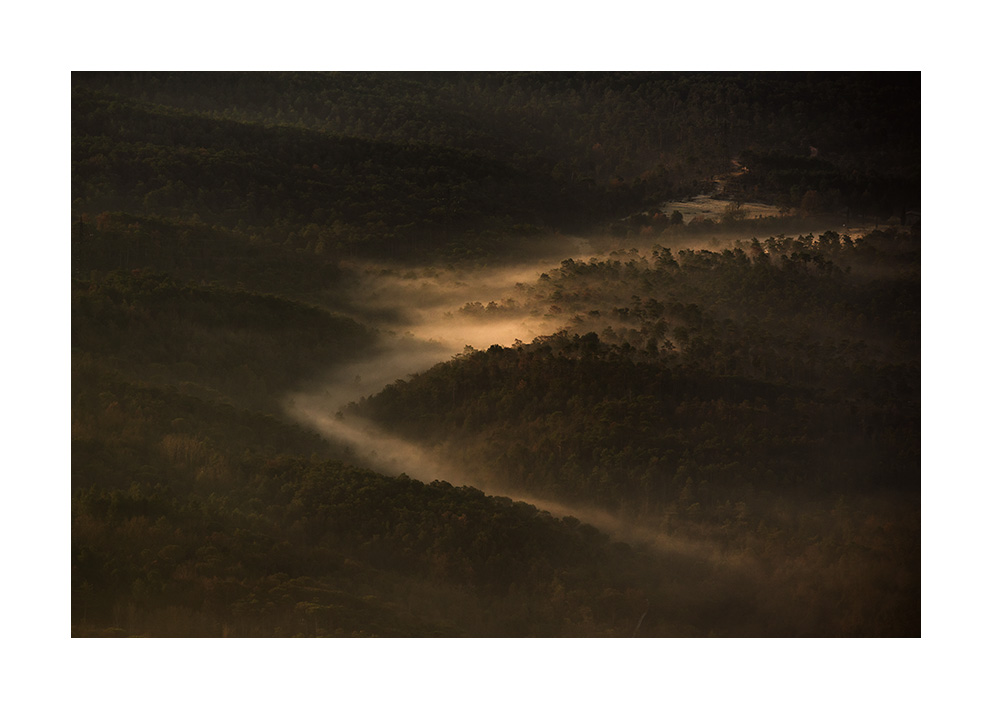 xaviermanrique's tweet photo. Riu de boira.

#retornauproject #melangiaproject
#riudeboira
#nature #fog #light
#time #infinite
#minimalism
#visualpoetry #artnature #artphoto
#poemavisual #bellesa #melangia
#misty #poetry #romantic
#landscapephotography #naturephtography #fineartphotography
#xmanrique https://t.co/wEoCmcmEae