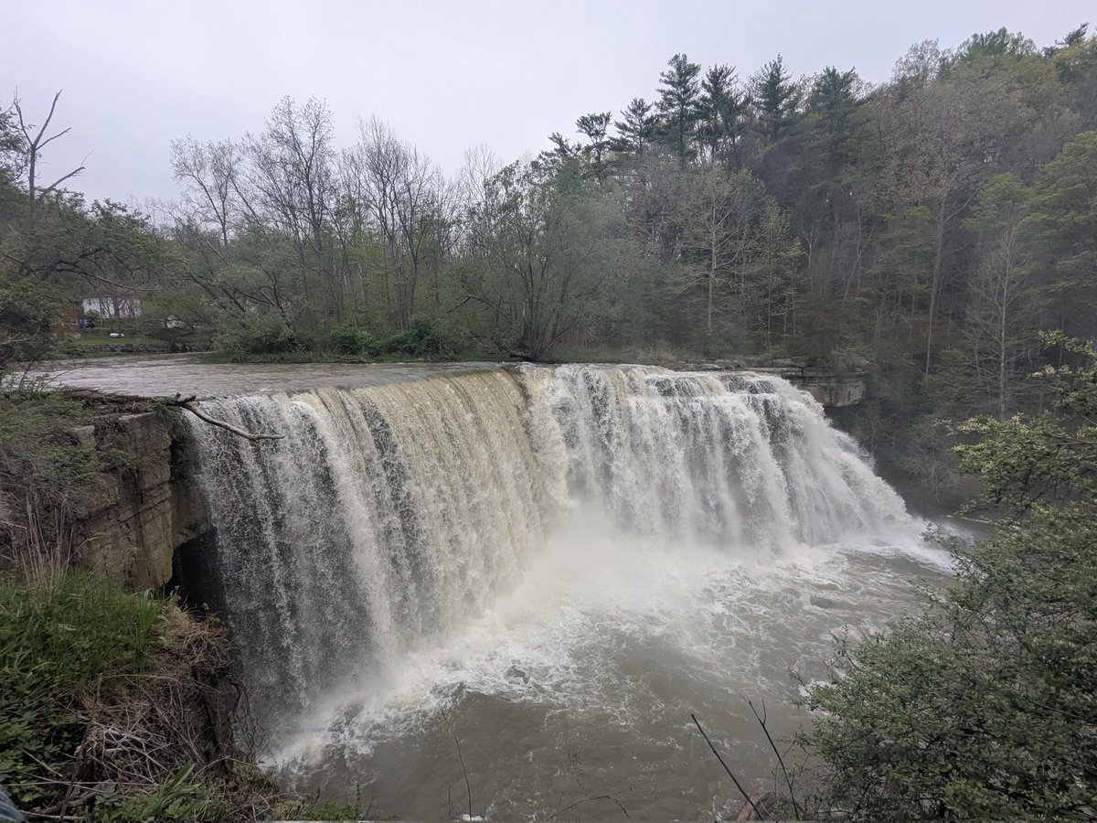 reefomadness's tweet image. Salmon Creek Falls, Lansing, NY. Bursting over with all the downpours we had lately. 🏞️
I saw two orchard orioles, a male and female pair, a female pine warbler, robins, a dove, and a bald eagle that circled right over the falls twice before moving down the creek.
