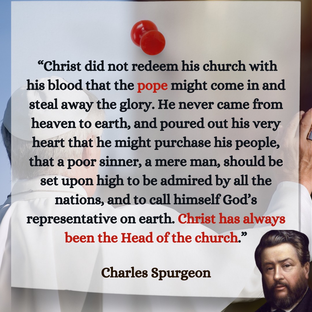 LesGBrando's tweet image. 