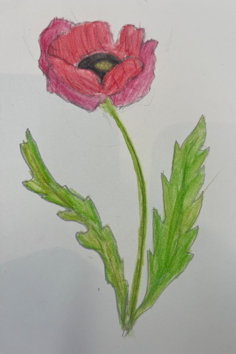 To commemorate the 80th anniversary of VE Day, our children created sketches capturing their understanding and emotions about this historic event. These sketches all share a common message of gratitude, remembrance, and hope for peace ☮️🙏
.
.
#chislehurstkids #bromleykids