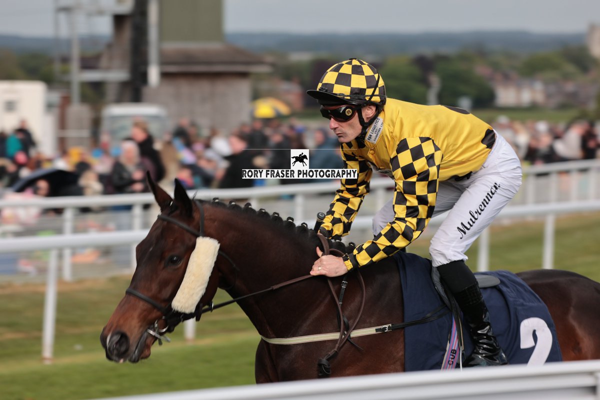 Rory Fraser Photography🤘 (@92roryf) on Twitter photo Fourth at Beverley on Monday in the class six handicap (1m), RIGHT NOW (Fascinating Rock x Legal Lyric)
Trained by <a href="/ptmidgley/">paul midgley</a>, owned by J Batty, R Chapman, R Parks & R Wardlow.
A winner for the only time to date over hurdles last year. Fourth at Beverley on Monday in the class six handicap (1m), RIGHT NOW (Fascinating Rock x Legal Lyric)
Trained by <a href="/ptmidgley/">paul midgley</a>, owned by J Batty, R Chapman, R Parks & R Wardlow.
A winner for the only time to date over hurdles last year.