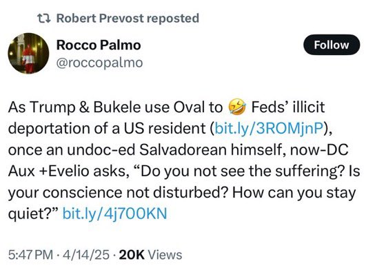 Laura Loomer tweet media
