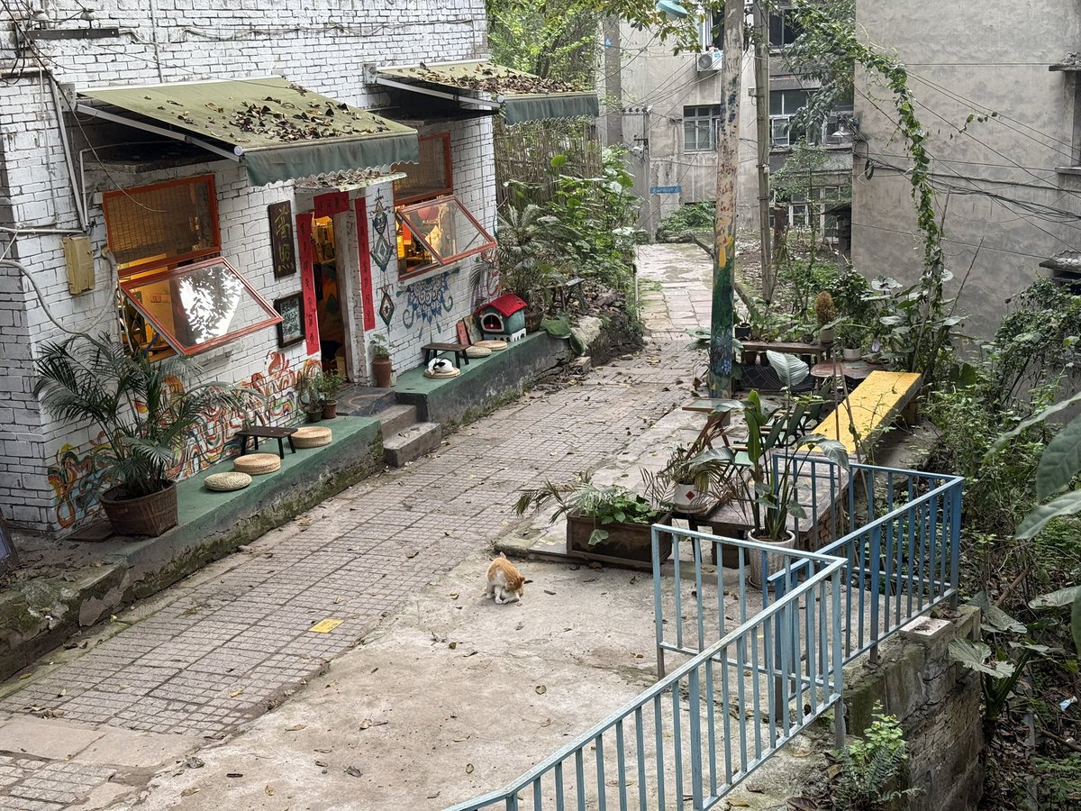 Beautiful memories in chongqing China.