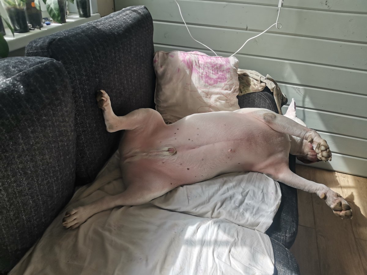 Я при людях vs я один