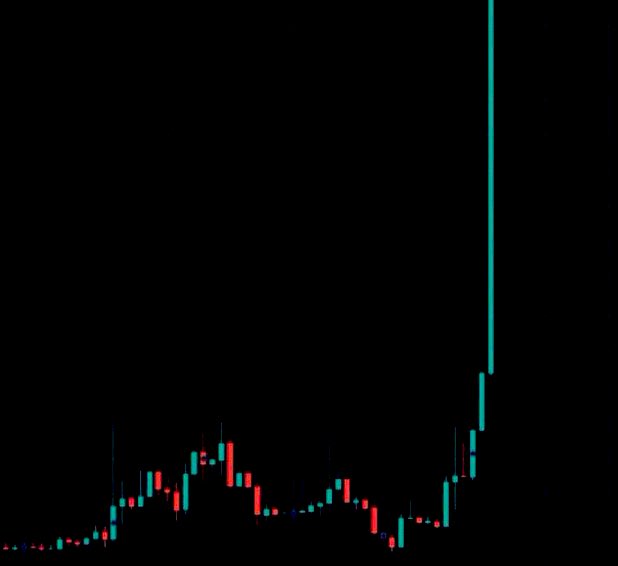 Mr. Whale tweet media