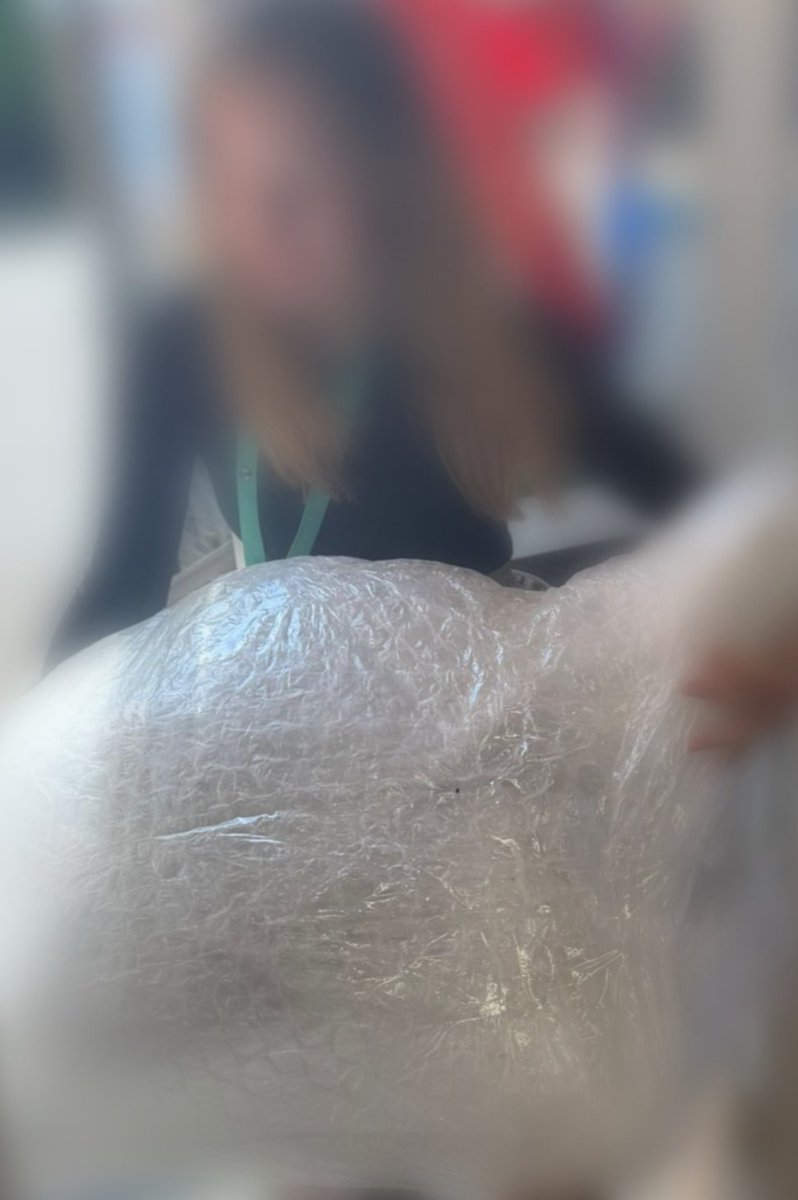 St George's CE Primary School (@stgeorgeskent) on Twitter photo We've had a special delivery in school today .. I wonder what it is? #TrailWithATale <a href="/DemelzaCharity/">Demelza Charity</a> We've had a special delivery in school today .. I wonder what it is? #TrailWithATale <a href="/DemelzaCharity/">Demelza Charity</a>
