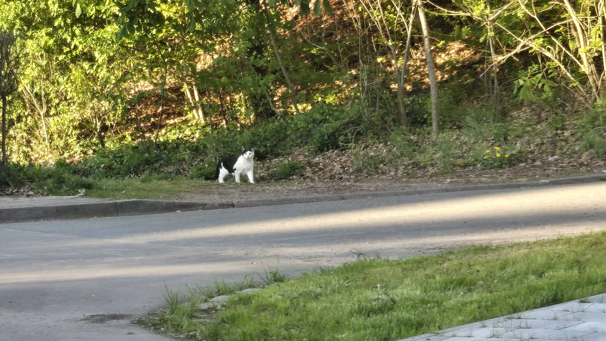 Ok, um das ganze zu bündeln (und später noch zu wissen, welche Bilder ich bereits gepostet habe), nutze ich einfach den bescheuerten Hashtag #RikuRadelt xD
Und wir fangen mal mit 4 Bildern aus einer Tour letzte Woche durch den Pfälzer Wald an :)