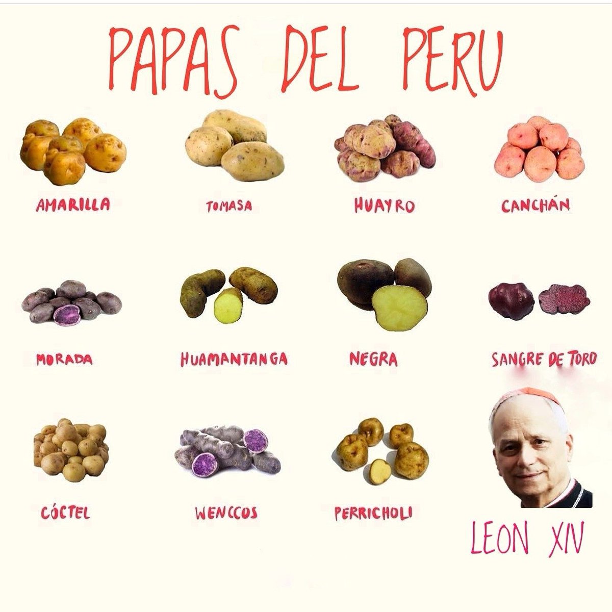 El Perú aporta una nueva variedad de Papa al mundo

habemus papa tiene DNI chiclayo mi pais humoe blanco