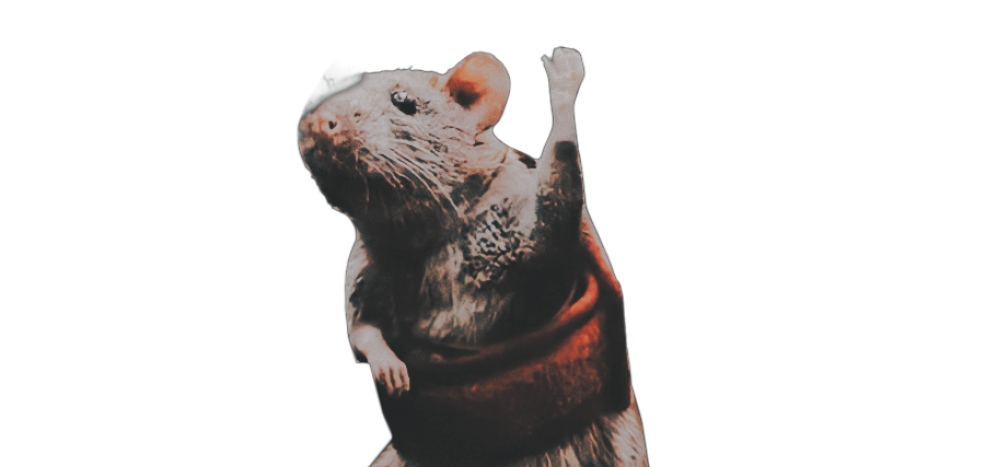 ᅠ ᅠ ᅠ ᅠ ᅠ ᅠ ᅠᅠ ᅠ ᅠ ᅠ ᅠ ᅠ 𝛂ᅠ𝐥͟𝐩͟𝐡͟𝐚͟ .ᐟ (@shewhlspers) on Twitter photo 