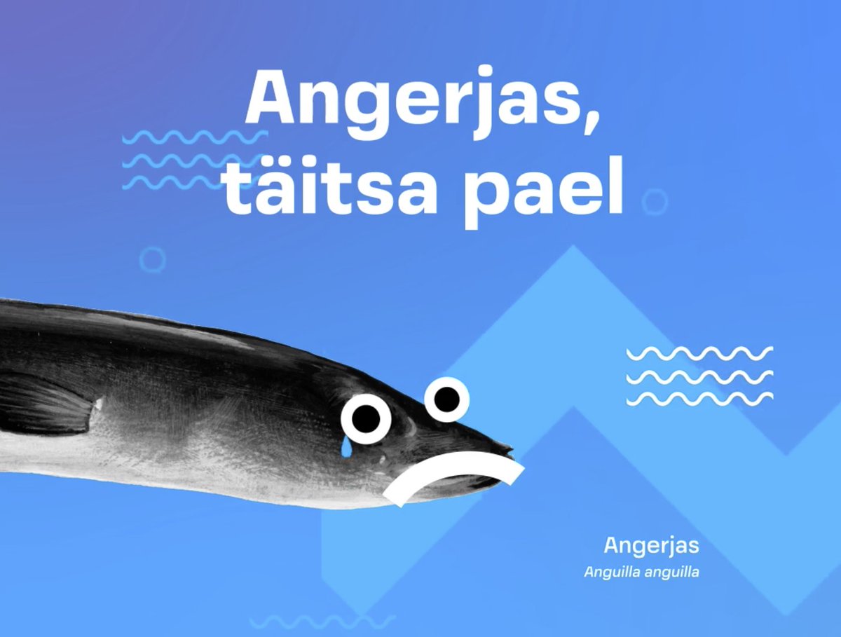 EestimaaLooduseFond tweet media