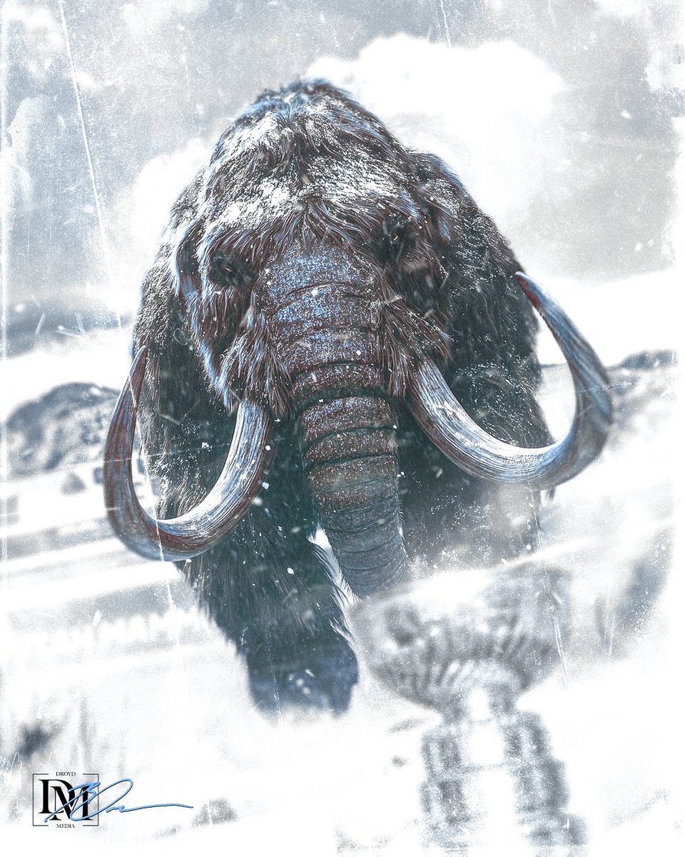 b_oldroyd52's tweet image. utah.mammoth.psb 🎨
_
_
_

#smsports | #TusksUp