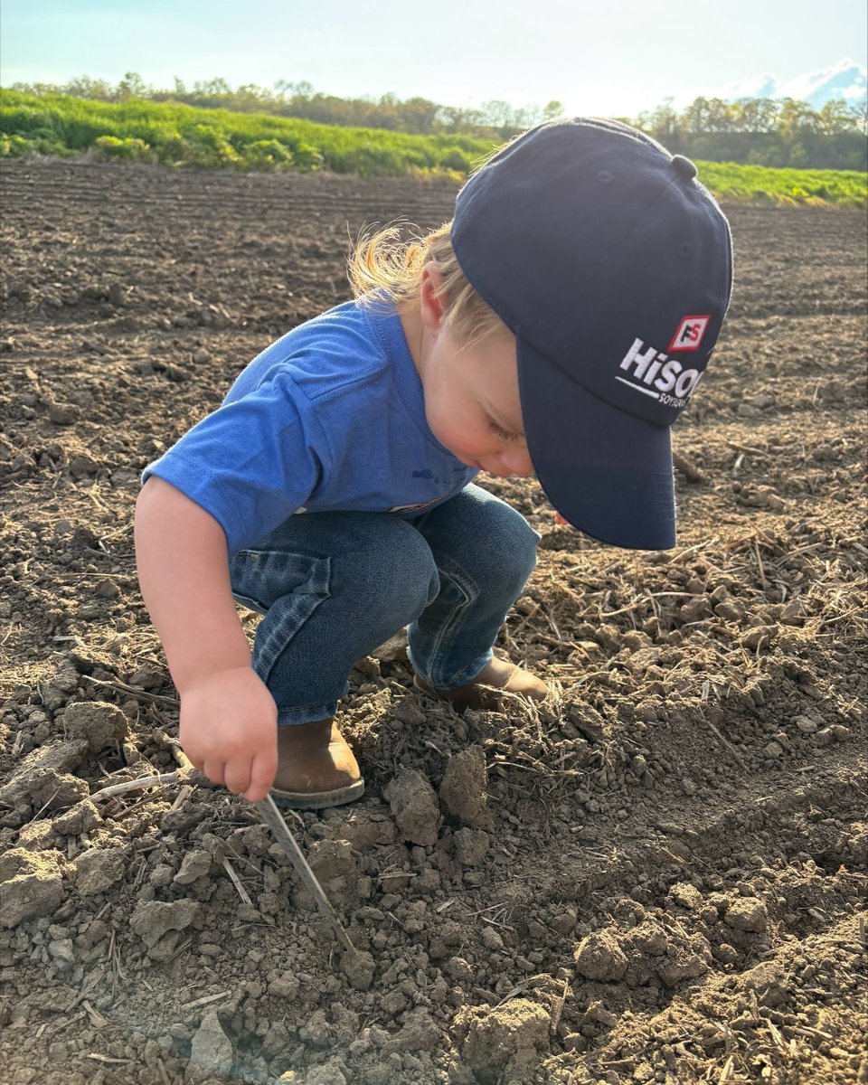 FSCooperatives's tweet image. They’re growing fast—and with #FSInVISION and #FSHiSOY, so is your operation. 
#GrowWithFS