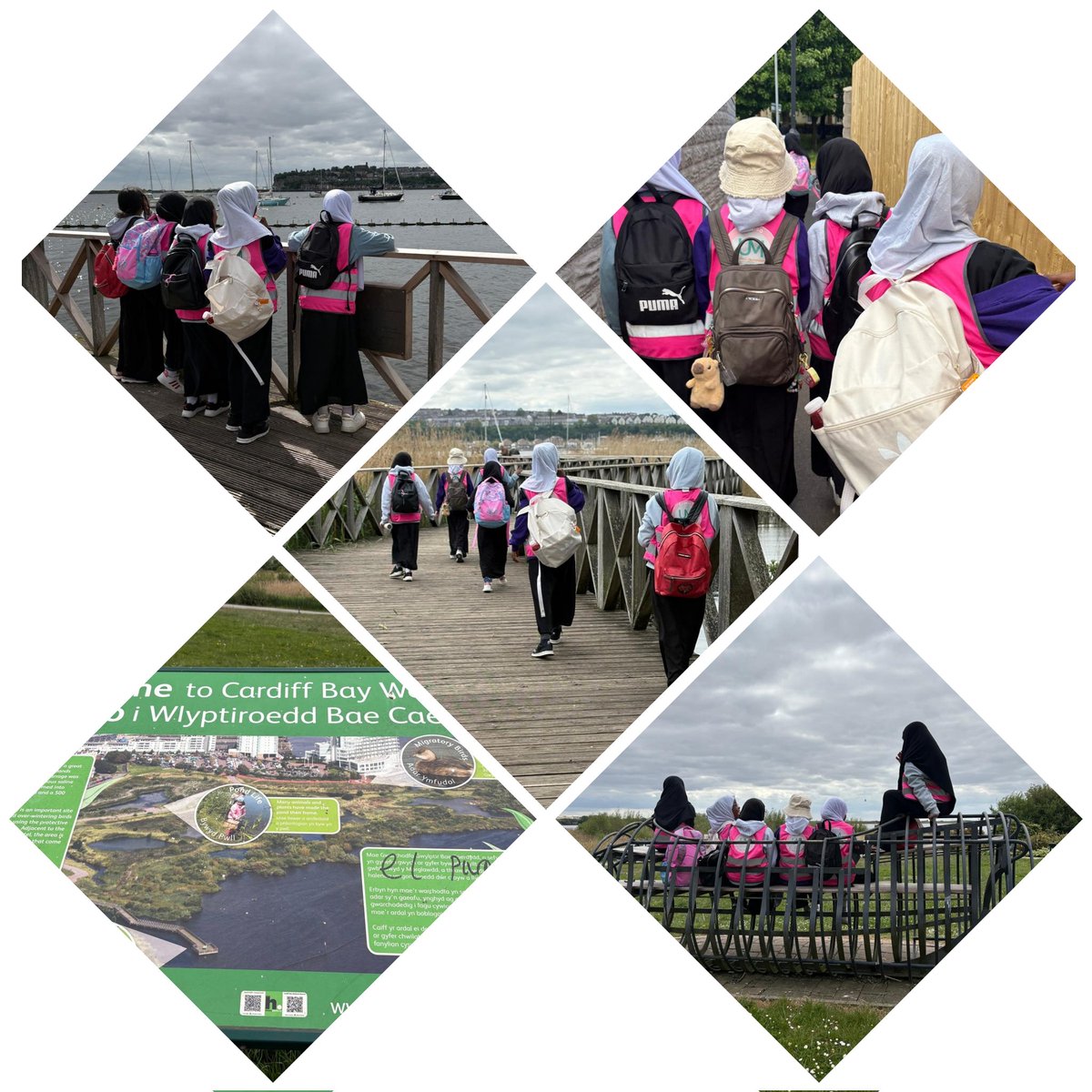 Maa shaa Allah our year 4's went to the Wetlands for their themed reading topic on the ecosystem 🌾