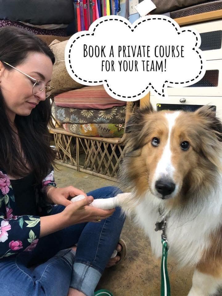 Do you own or manage a dog daycare? Grooming shop? Animal shelter? Do you employ dog walkers or pet sitters?

WNW instructors are often available to offer a private Pet First Aid certification course for your team! 

Email us at lisaw@walksnwags.com 

#chooseWNW #petfirstaid