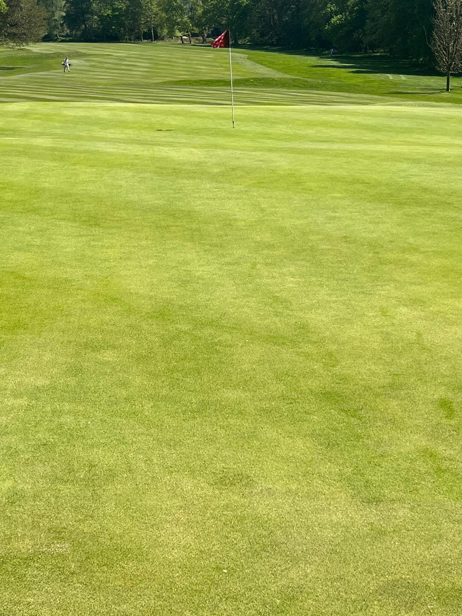 💧 Revolution doing it's thing for <a href="/alec_macindoe/">Alec William John</a> and the team at <a href="/WestSurreyGolf/">West Surrey Golf Club</a>. Applied as part of a programme, Revolution goes beyond addressing water repellency - it delivers complete water management. 

💧 Increases turf resilience &amp; stress tolerance
💧 Improved rootzone