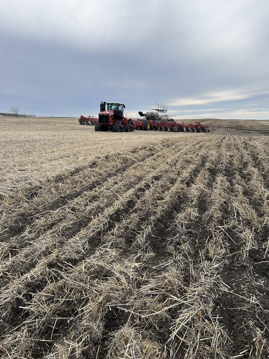 DSAG (@_dsag_) on Twitter photo Our yellow pea trial went in earlier this week. We’re excited to see <a href="/Pituraseeds/">Pitura Seed Service</a> PS Boost up against AAC Chromes and the new CDC Citrine from <a href="/seednetca/">SeedNet Inc.</a>! We’ll be posting updates throughout the summer🌱 Our yellow pea trial went in earlier this week. We’re excited to see <a href="/Pituraseeds/">Pitura Seed Service</a> PS Boost up against AAC Chromes and the new CDC Citrine from <a href="/seednetca/">SeedNet Inc.</a>! We’ll be posting updates throughout the summer🌱