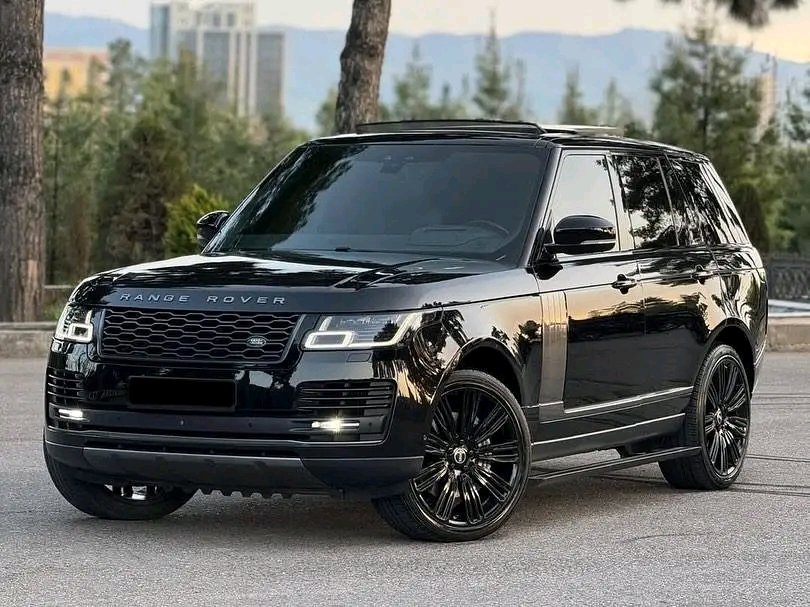 Atilla (@atilla192853) on Twitter photo 