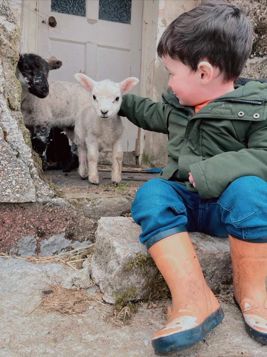 Back British family farms! 🇬🇧🇬🇧🇬🇧

📷 Sine Nicolson