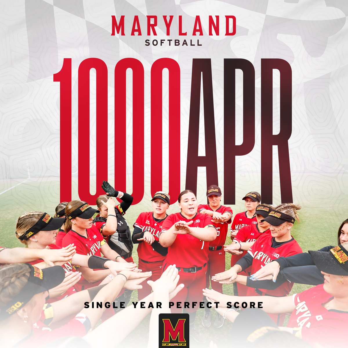 Crushing it in the classroom! 🐢🥎

🔗 go.umd.edu/1zbv

#FearTheTurtle