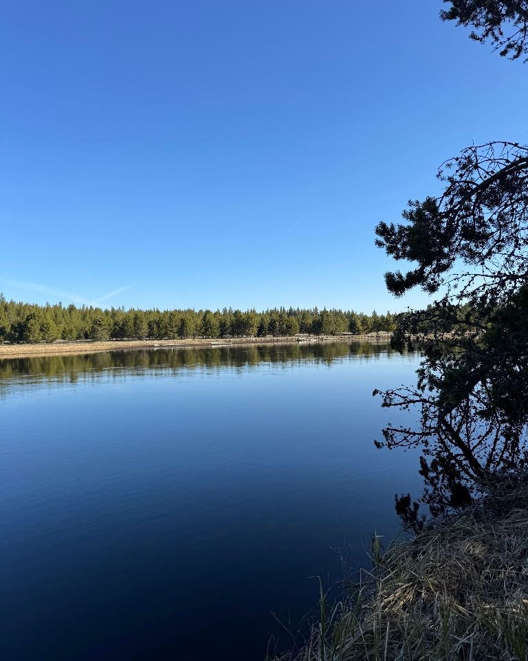 incubatoru's tweet image. We don’t fear failure. We prototype it.
At IncubatorU, we build, test often, and learn quicker than the competition.
If you failed today, congrats, you&apos;re innovating.

#InnovationLab #ThursdayThoughts #FearlessInnovation #IncubatorU